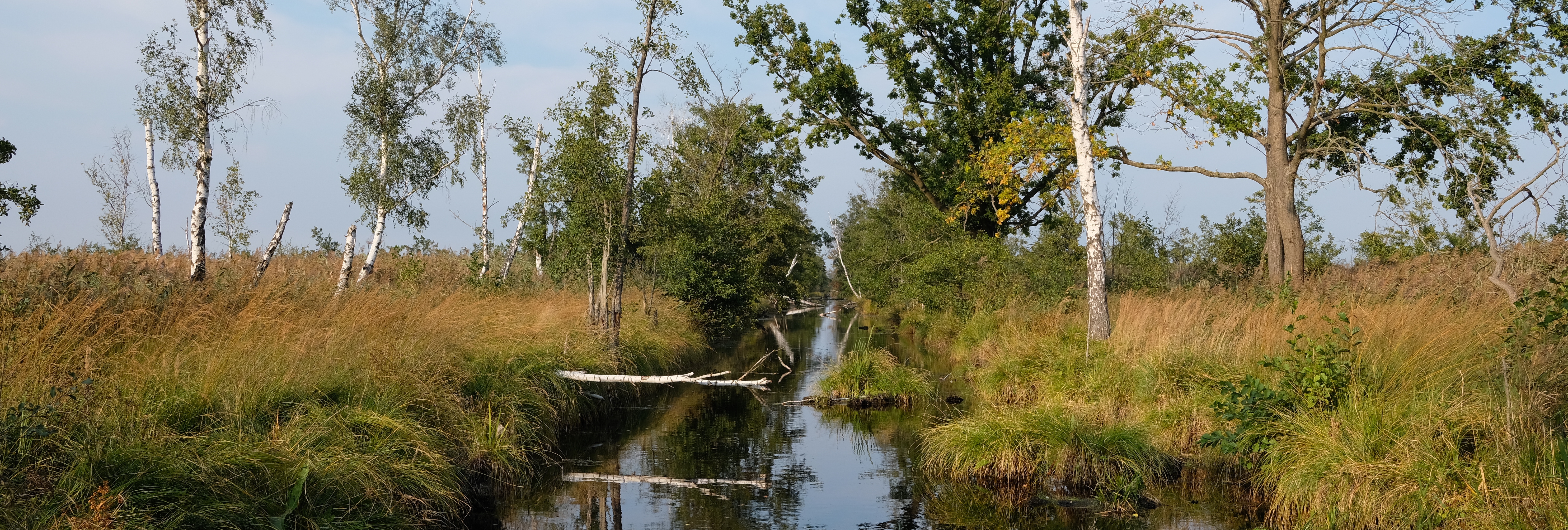 Water course at the Anklamer Stadtbruch (Julian Massenberg, UFZ)